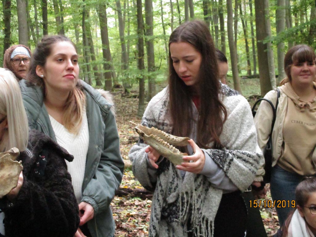 Oktober 2019 Waldexkursion