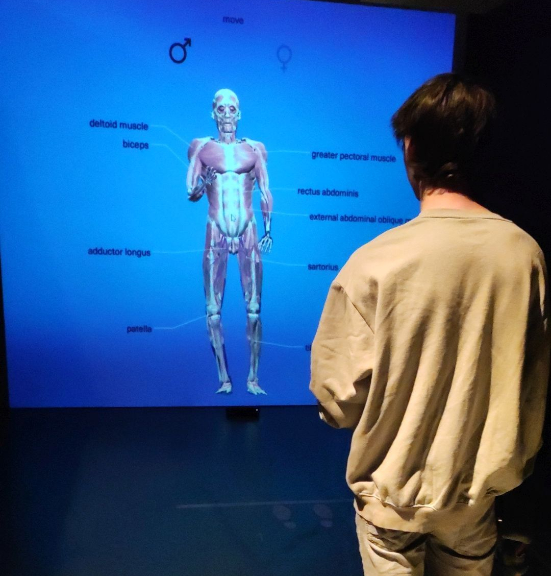 250513 Körperwelten1